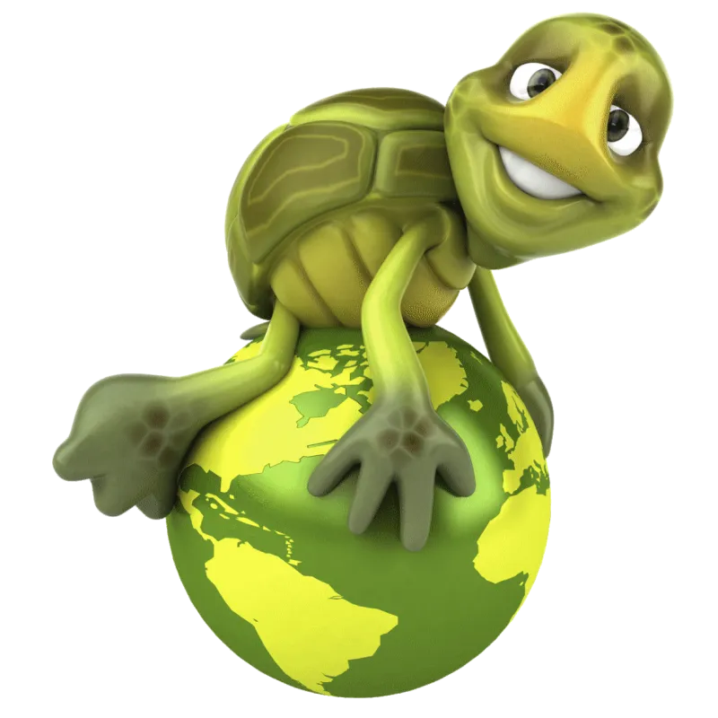 Tortue Monde