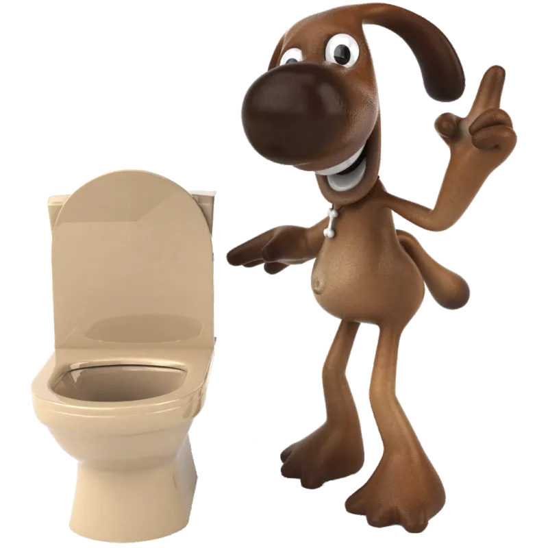 Chien Toilettes