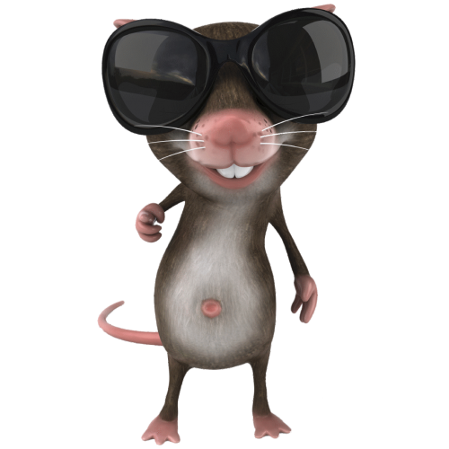 Souris Lunette