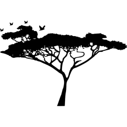 girafes et arbre