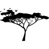 girafes et arbre