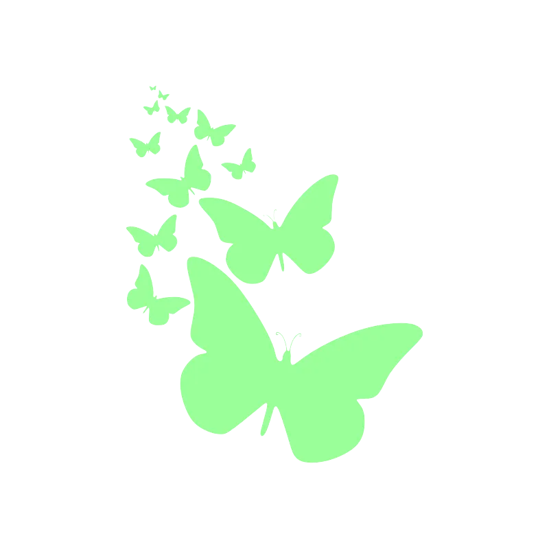 Papillons de nuit