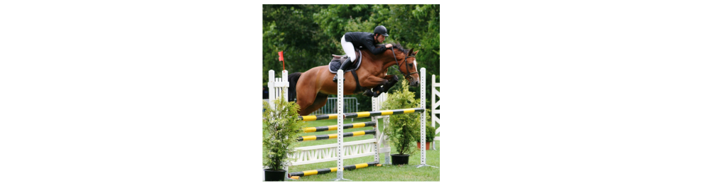 Equitation