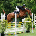 Equitation