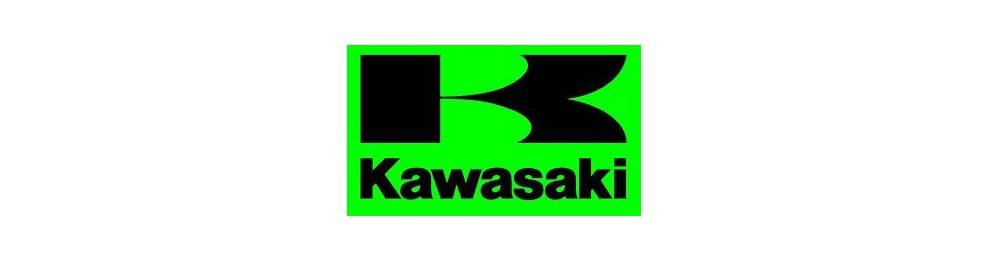 kawasaki