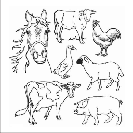 Stickers animaux