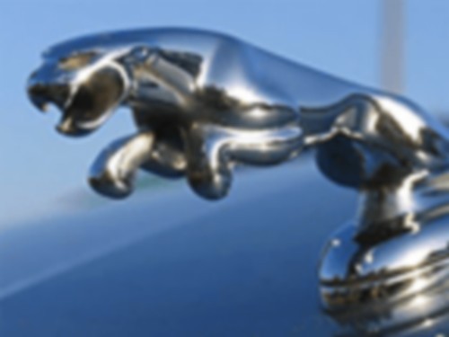 jaguar
