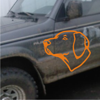 Têtes de chiens