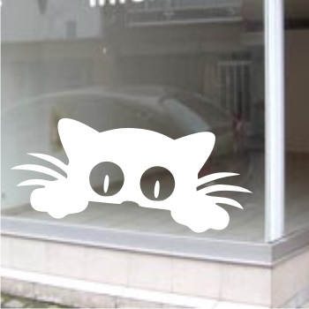 chats