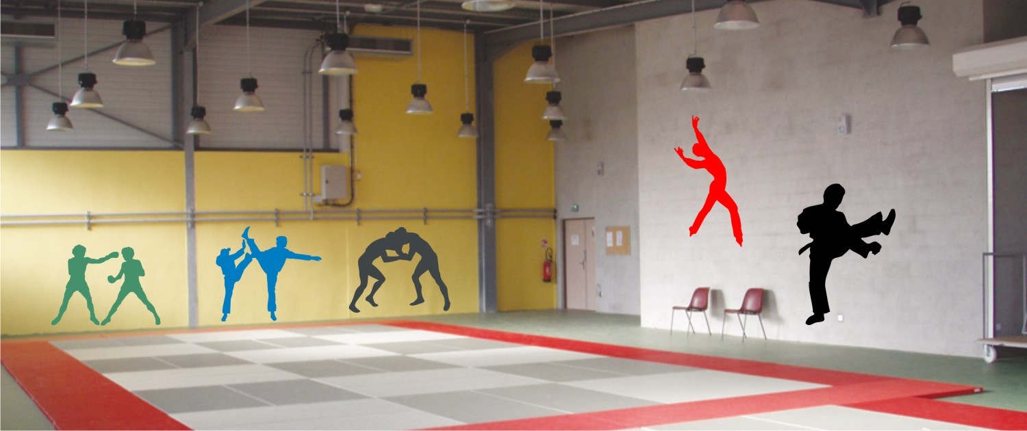 sport combat